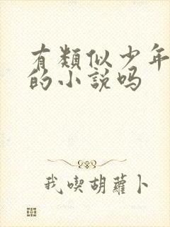 有类似少年阿宾的小说吗