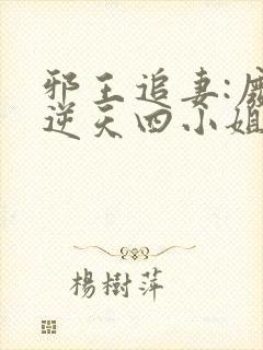 邪王追妻:废柴逆天四小姐