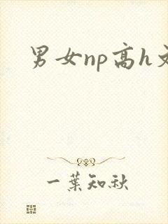 男女np高h文