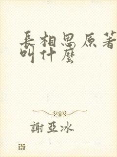 长相思原著小说叫什么