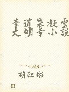 李逍朱凝云穿越大明章小说封面