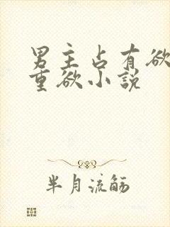 男主占有欲强且重欲小说