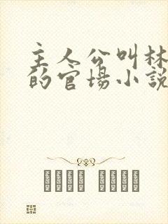 主人公叫林飞扬的官场小说字