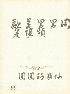 欧美男男同性做爰视频