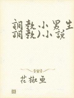 调教小男生(性调教)小说封面
