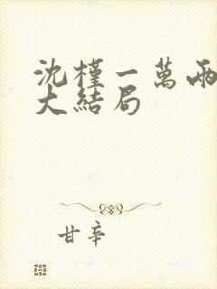 沈槿一万两番外大结局