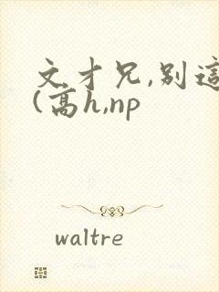 文才兄,别这样(高h,np