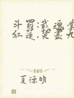 斗罗:武魂业火红莲,焚尽九天封面