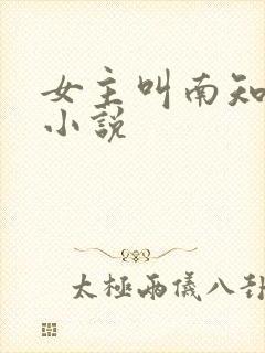 女主叫南知意的小说