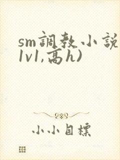 sm调教小说(1v1,高h)