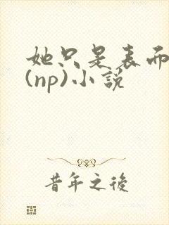 她只是表面清纯(np)小说