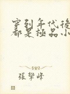 穿到年代后全家都是极品小说封面