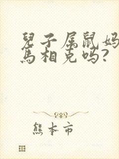 儿子属鼠妈妈属马相克吗?
