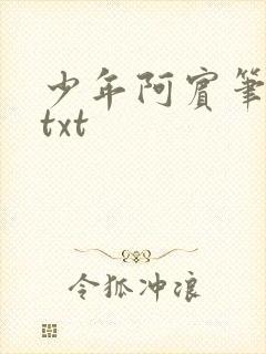少年阿宾笔趣阁txt