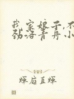 我家娘子,不对劲洛青舟小说