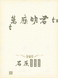 万历明君 txt封面