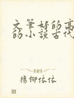 文笔好的高质量的小说古代言情封面