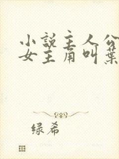 小说主人公林凡女主角叫叶惜