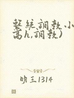 系统调教小说(高h,调教)