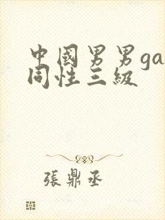 中国男男gay同性三级