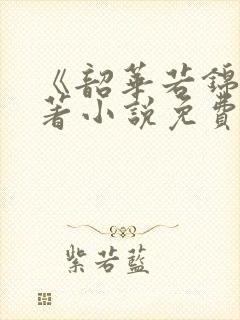 《韶华若锦》原著小说免费阅读