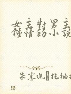 女主对男主一见钟情的小说封面