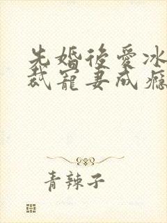 先婚后爱冰山总裁宠妻成瘾
