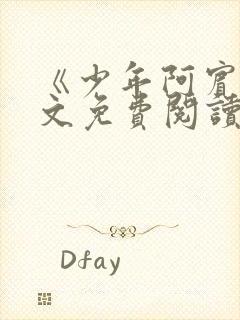 《少年阿宾》全文免费阅读封面