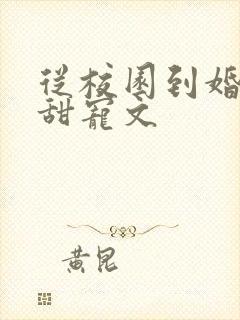 从校园到婚姻的甜宠文