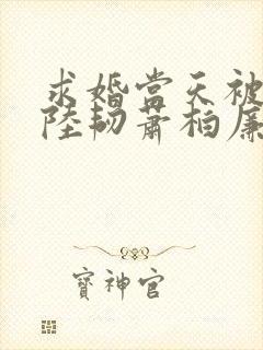 求婚当天被情敌陆韧萧柏廉小说免费阅读全文封面
