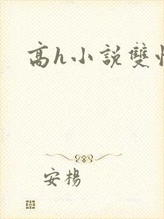 高h小说双性人