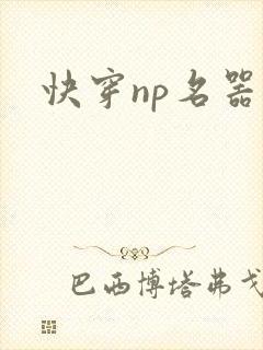 快穿np名器