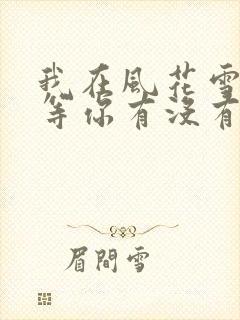 我在风花雪月里等你有没有续集