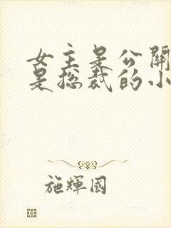 女主是公关男主是总裁的小说