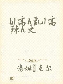 bl高h乱l高辣h文