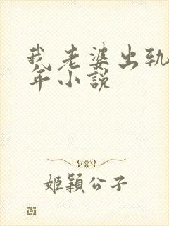 我老婆出轨那些年小说