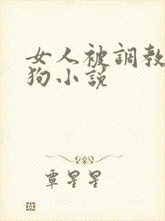 女人被调教成母狗小说封面