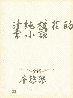 清纯校花的被日常小说