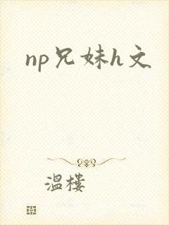 np兄妹h文