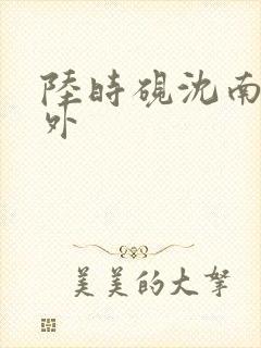 陆时砚沈南初番外