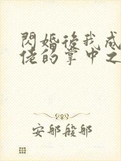 闪婚后我成了大佬的掌中之物17封面