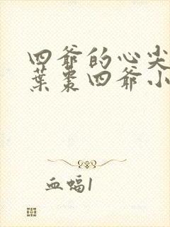 四爷的心尖宠妃叶枣四爷小说