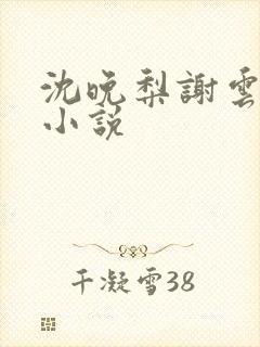 沈晚梨谢云迟 小说