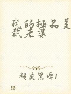 我的极品美女总裁老婆封面