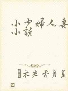 小少妇人妻系列小说