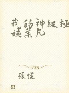 我的神级极品小姨叶凡