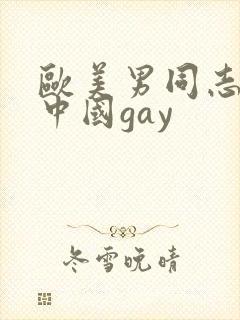 欧美男同志亚洲中国gay封面