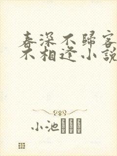 春深不归客清梦不相逢小说在线阅读