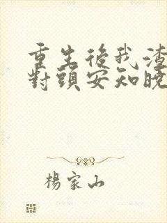重生后我渣了死对头安知晓