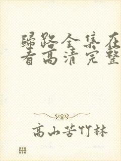 归路全集在线观看高清完整版免费